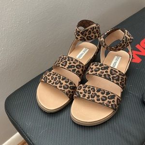 Steve Madden Leopard Sandals